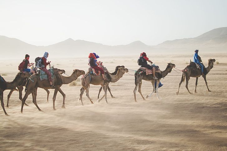 An Incredible 10 Days Egypt Tour Cairo, Nile Cruise, And Hurghada