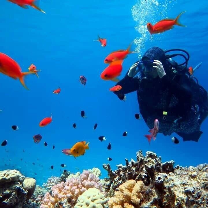 Hurghada Day Tours