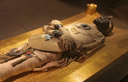 What Are The 7 Steps Of Mummification?